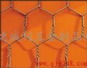 Hexagonal Wire Mesh